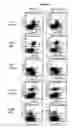 Fig. 09 - OPTIMIZED ANTIBODIES THAT TARGET HM1.24