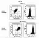 Fig. 10 - OPTIMIZED ANTIBODIES THAT TARGET HM1.24