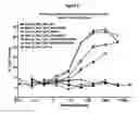 Fig. 11 - OPTIMIZED ANTIBODIES THAT TARGET HM1.24