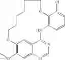 Fig. 06 - VEGFR3 INHIBITORS