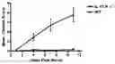 Fig. 01 - Methods of treating psoriasis using IL-17 Receptor A antibodies