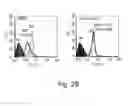 Fig. 04 - Bi-specific complexes for targeting cells involved in allergic-type reactions, compositions and uses thereof