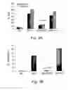 Fig. 05 - Bi-specific complexes for targeting cells involved in allergic-type reactions, compositions and uses thereof