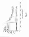 Fig. 07 - Bi-specific complexes for targeting cells involved in allergic-type reactions, compositions and uses thereof