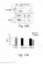 Fig. 17 - Bi-specific complexes for targeting cells involved in allergic-type reactions, compositions and uses thereof