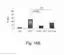 Fig. 21 - Bi-specific complexes for targeting cells involved in allergic-type reactions, compositions and uses thereof