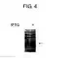 Fig. 06 - Diagnostic Kit for Solid Cancer and Medicament for Solid Cancer Therapy