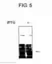 Fig. 07 - Diagnostic Kit for Solid Cancer and Medicament for Solid Cancer Therapy