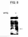 Fig. 10 - Diagnostic Kit for Solid Cancer and Medicament for Solid Cancer Therapy