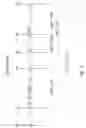 Fig. 05 - COMPOSITIONS AND METHODS FOR THE THERAPY AND DIAGNOSIS OF BREAST CANCER