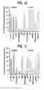 Fig. 05 - Nogo receptor-mediated blockade of axonal growth