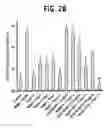 Fig. 07 - Nogo receptor-mediated blockade of axonal growth