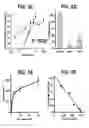 Fig. 11 - Nogo receptor-mediated blockade of axonal growth