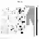 Fig. 21 - Nogo receptor-mediated blockade of axonal growth