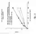 Fig. 11 - COMPOSITIONS AND METHODS FOR THE THERAPY AND DIAGNOSIS OF PROSTATE CANCER