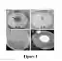 Fig. 02 - METHOD FOR TREATING/CONTROLLING/KILLING FUNGI AND BACTERIA ON LIVING ANIMALS