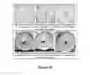 Fig. 11 - METHOD FOR TREATING/CONTROLLING/KILLING FUNGI AND BACTERIA ON LIVING ANIMALS