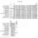 Fig. 11 - Phytase Variants