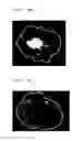 Fig. 13 - Method for Producing Dried Foods to be Eaten After Cooked or Reconstituted with Hot Water, and Dried Noodles