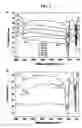 Fig. 03 - Methods for production and use of synthetic hydroxyapatite and fluorapatite nanorods, and superstructures assembled from the same
