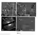 Fig. 07 - Methods for production and use of synthetic hydroxyapatite and fluorapatite nanorods, and superstructures assembled from the same