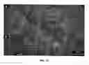 Fig. 16 - Methods for production and use of synthetic hydroxyapatite and fluorapatite nanorods, and superstructures assembled from the same