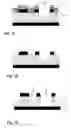 Fig. 04 - Capillary transport of nanoparticles or microparticles to form an ordered structure