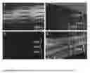 Fig. 17 - Parylene-C Stencils