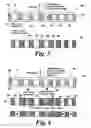 Fig. 04 - Security film