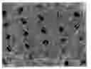 Fig. 01 - Method for manufacturing a tufted product, tufted product, and use thereof