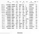 Fig. 19 - RNA aptamers and methods for identifying the same