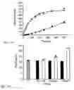 Fig. 20 - RNA aptamers and methods for identifying the same