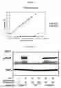 Fig. 25 - RNA aptamers and methods for identifying the same