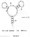 Fig. 29 - RNA aptamers and methods for identifying the same
