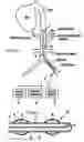 Fig. 02 - System and method for rapidly cooling cardiac arrest patient