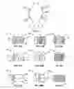 Fig. 09 - ISOLATION DEVICES FOR THE TREATMENT OF ANEURYSMS