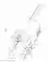 Fig. 02 - Tissue shredding device and tissue shredding method