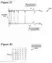 Fig. 29 - Multi-channel audio encoding and decoding with different window configurations