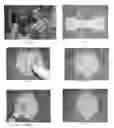 Fig. 02 - Koolonu