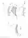 Fig. 02 - Armor