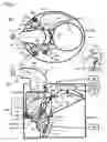 Fig. 02 - Mist generator and mist emission rendering apparatus
