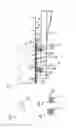 Fig. 05 - Method for Introducing Vertical Built-In Parts Into Structures Erected with a Sliding Formwork, Particularly in Annular Concrete Walls, and Device for Performing the Method