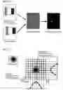 Fig. 15 - Image forming method and electron microscope