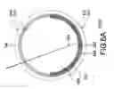 Fig. 14 - Light illuminating element