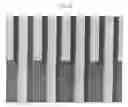 Fig. 09 - Suspended nanowire sensor and method for fabricating the same