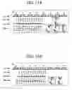 Fig. 07 - Tag communication apparatus and tag communication system