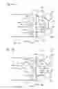 Fig. 07 - EXPOSURE APPARATUS AND DEVICE MANUFACTURING METHOD