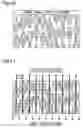 Fig. 07 - Computer hologram and creation method thereof