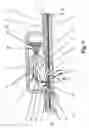Fig. 02 - Rearview mirror with illuminated area