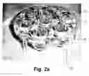 Fig. 05 - Torch
